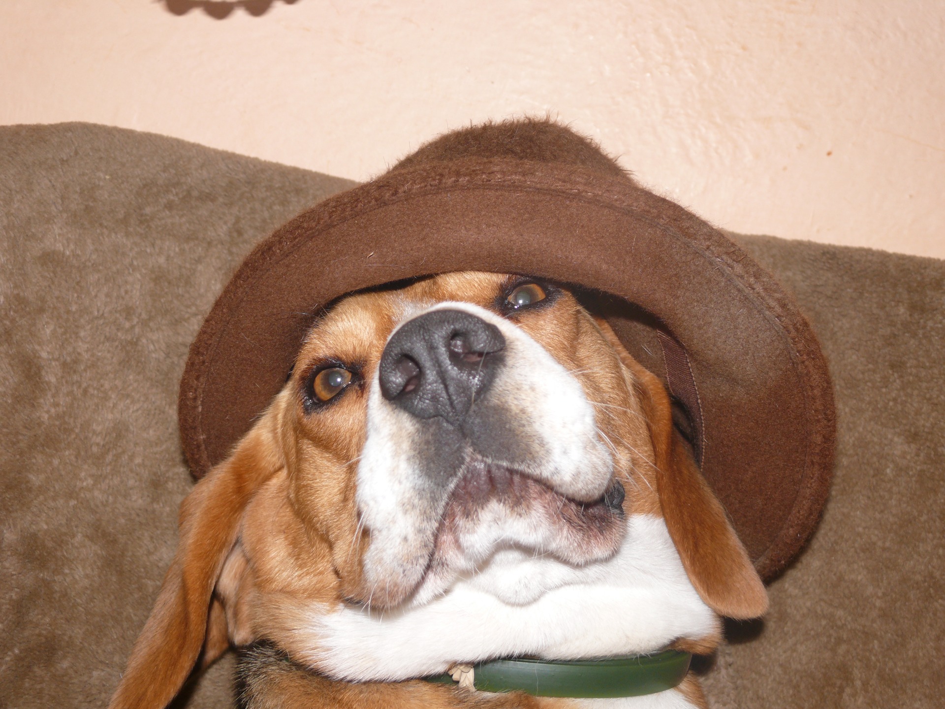 Jsem opravdu vybíravý